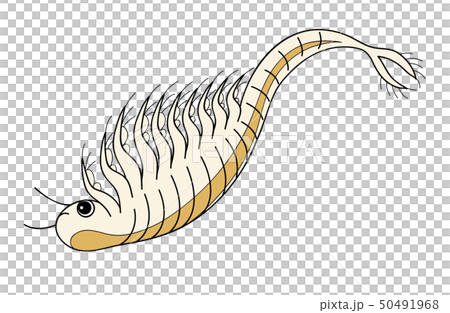 アルテミア シーモンキー ホウネンエビ キャラクター イラスト 50491968