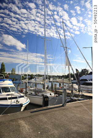 マリーナ 橋脚 桟橋 50492213