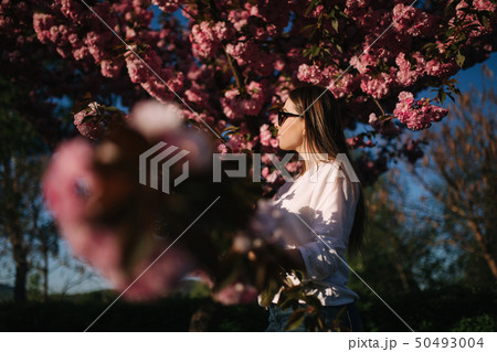 Beautiful woman in sunglasses stand in sakura tree Beautiful woman in sunglasses stand in sakura tree 50493004