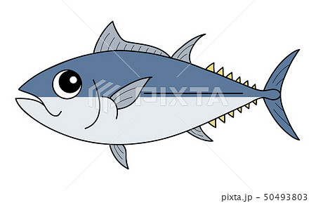 マグロ Tunaのイラスト素材