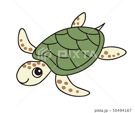 ウミガメ Sea Turtleのイラスト素材