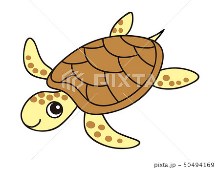 ウミガメ Sea Turtleのイラスト素材