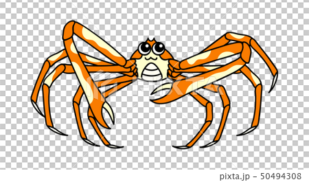 タカアシガニ Pider Crabsのイラスト素材