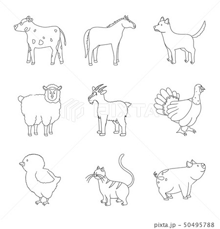 Vector illustration of homemade and countryside icon. Collection of homemade and agriculture stock 50495788