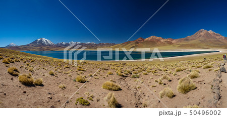 Amazing Lake Miscanti gigapan in the highlands of Chile 50496002