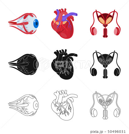 Vector illustration of biology and scientific logo. Set of biology and laboratory stock symbol for 50496031