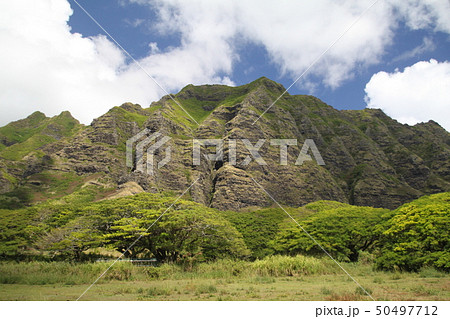 クアロア・ランチ 50497712