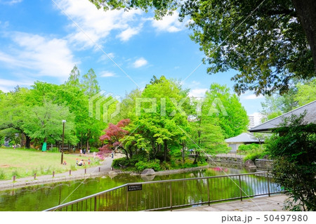蚕糸の森公園 50497980