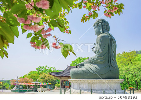 仏教 宗教 仏像 50498193