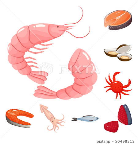 Isolated object of food and sea symbol. Set of food and healthy stock vector illustration. 50498515