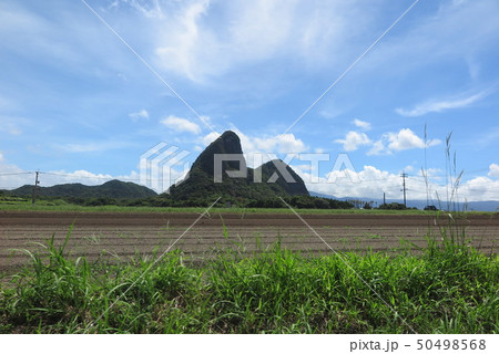 ソテツ自生地 50498568