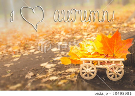 Autumn leaves on a wooden cart. soft selective 50498981