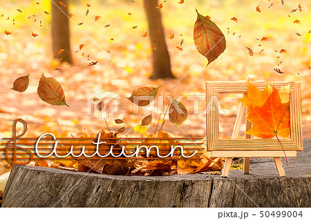 AUTUMN lettering card. Maple Leaves on tree cut. 50499004