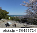 冨具崎公園から望む伊勢湾と美浜町の町並み ( 2019年4月春 愛知県知多郡 ) 50499724