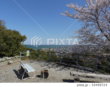 冨具崎公園から望む伊勢湾と美浜町の町並み ( 2019年4月春 愛知県知多郡 ) 50499724