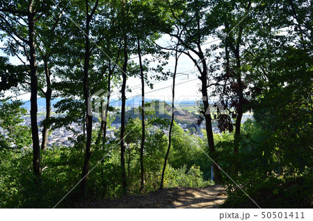 八幡山からみた近江八幡の街並み 八幡山からみた近江八幡の街並み 50501411