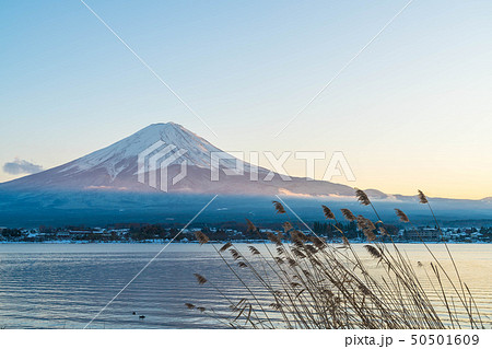 Mountain Fuji San at Kawaguchiko Lake. Mountain Fuji San at Kawaguchiko Lake. 50501609