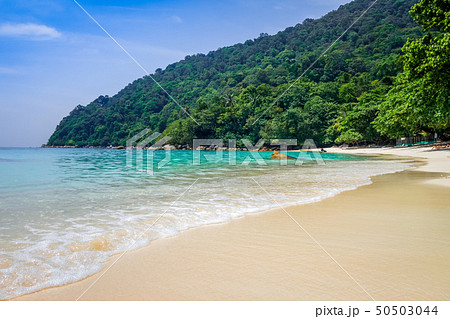 Turtle Beach, Perhentian Islands, Terengganu, 50503044