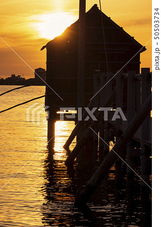 東郷湖と夕陽 50503734