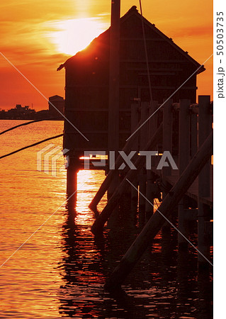 東郷湖と夕陽 50503735