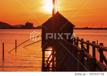 東郷湖と夕陽 50503736