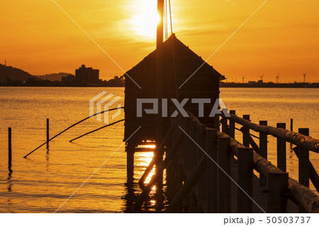 東郷湖と夕陽 50503737
