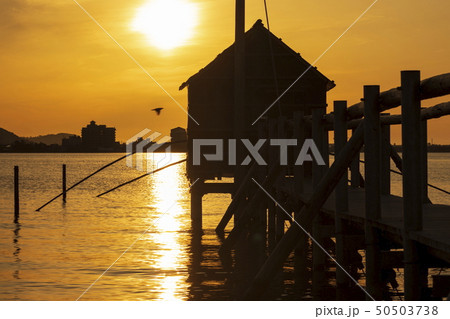 東郷湖と夕陽 50503738