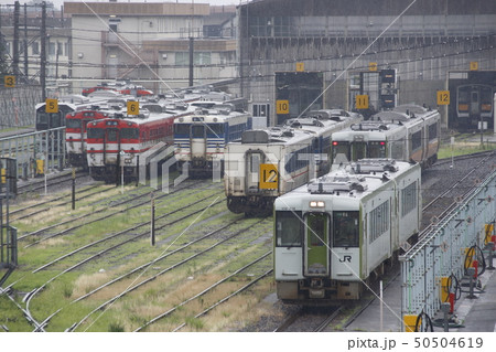 新津運輸区と様々なディーゼルカー 50504619