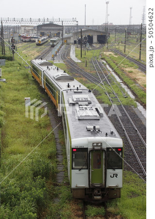 新津運輸区と様々なディーゼルカー 50504622