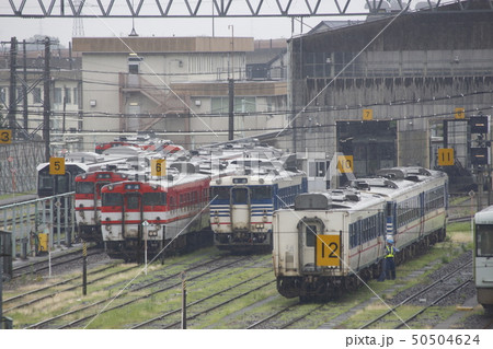 新津運輸区と様々なディーゼルカー 50504624