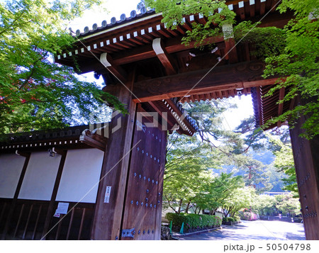 京都 永観堂 禅林寺 総門の青もみじ 京都 永観堂 禅林寺 総門の青もみじ 50504798
