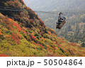 紅葉の中を進むロープウェイ 50504864