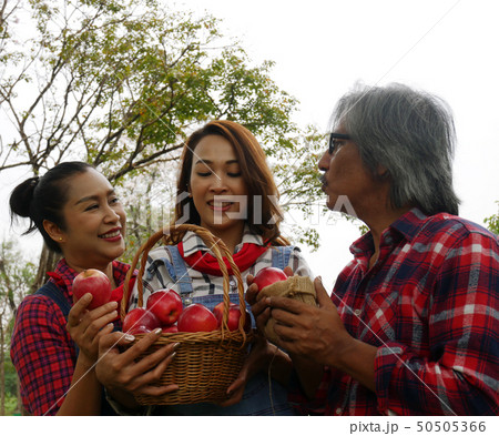 Family farmer apple happy and fun in garden park. 50505366