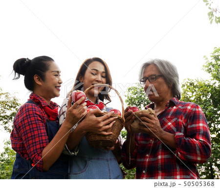 Family farmer apple happy and fun in garden park. 50505368