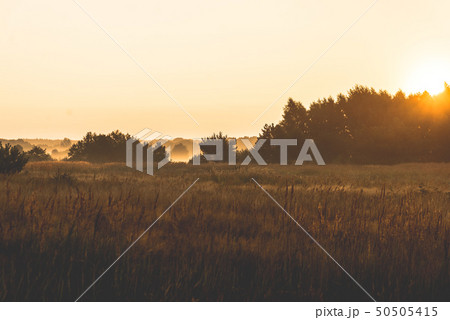 sunrise over a misty meadow in summer morning sunrise over a misty meadow in summer morning 50505415