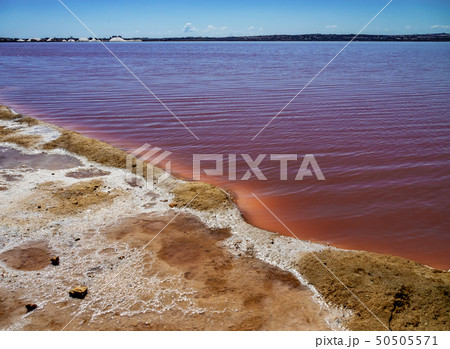 Laguna Salada in Torrevieja, Spain. Pink Salted lake. Salinas Natural Park. 50505571