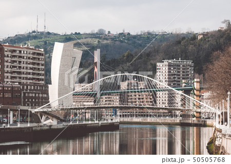 Zubizuri, the Campo Volantin Bridge, Bilbao, Spain 50505768