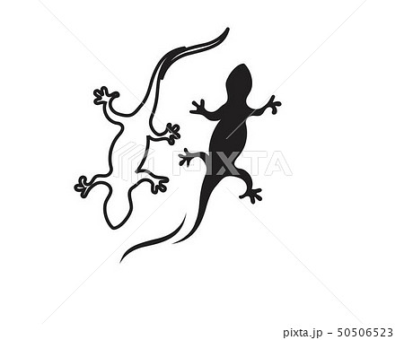 Lizard Chameleon Gecko Silhouette black Lizard Chameleon Gecko Silhouette black 50506523