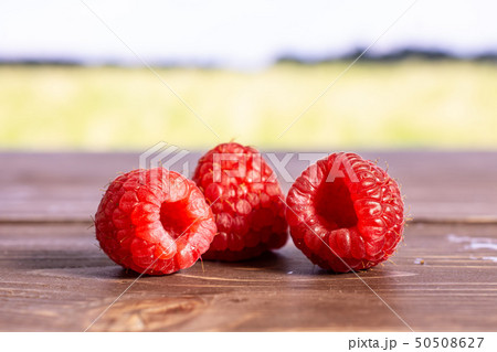 Fresh red raspberry with field behind Fresh red raspberry with field behind 50508627