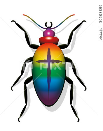 Decline In Insect Populations Symbolic Bug Cross 50508899