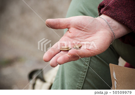 closeup of euros coins in hand of poor woman 50509979