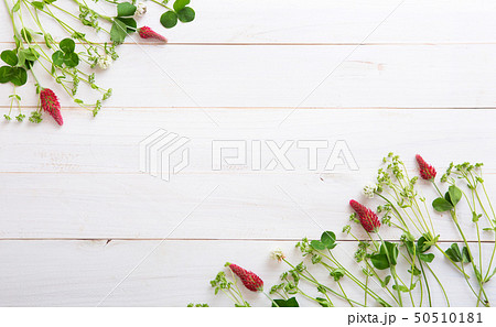 野花と白い木の背景素材 50510181