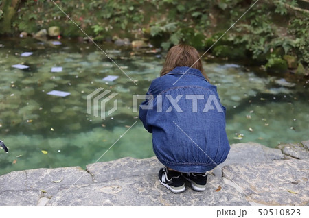 占い待ち 50510823