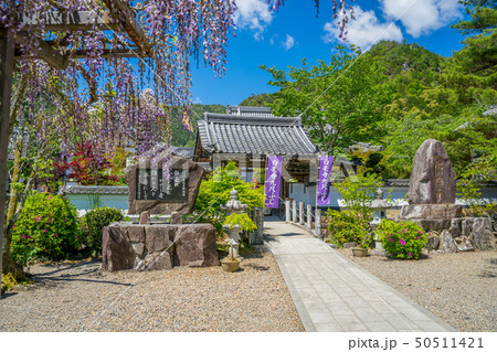 藤の名所 白毫寺 藤の名所 白毫寺 50511421