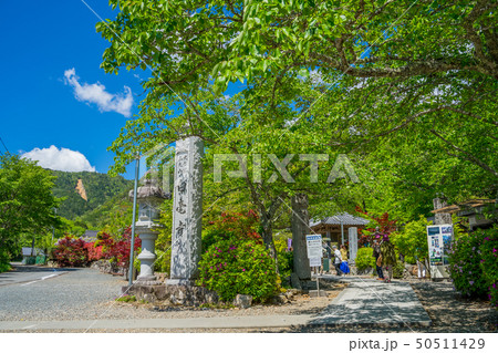 藤の名所　白毫寺 50511429