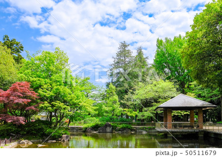蚕糸の森公園 蚕糸の森公園 50511679