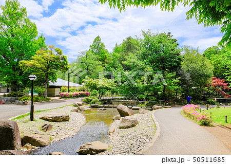 蚕糸の森公園 蚕糸の森公園 50511685
