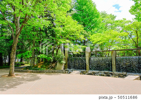 蚕糸の森公園 50511686