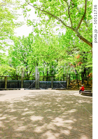 蚕糸の森公園 50511736