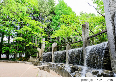 蚕糸の森公園 50511740